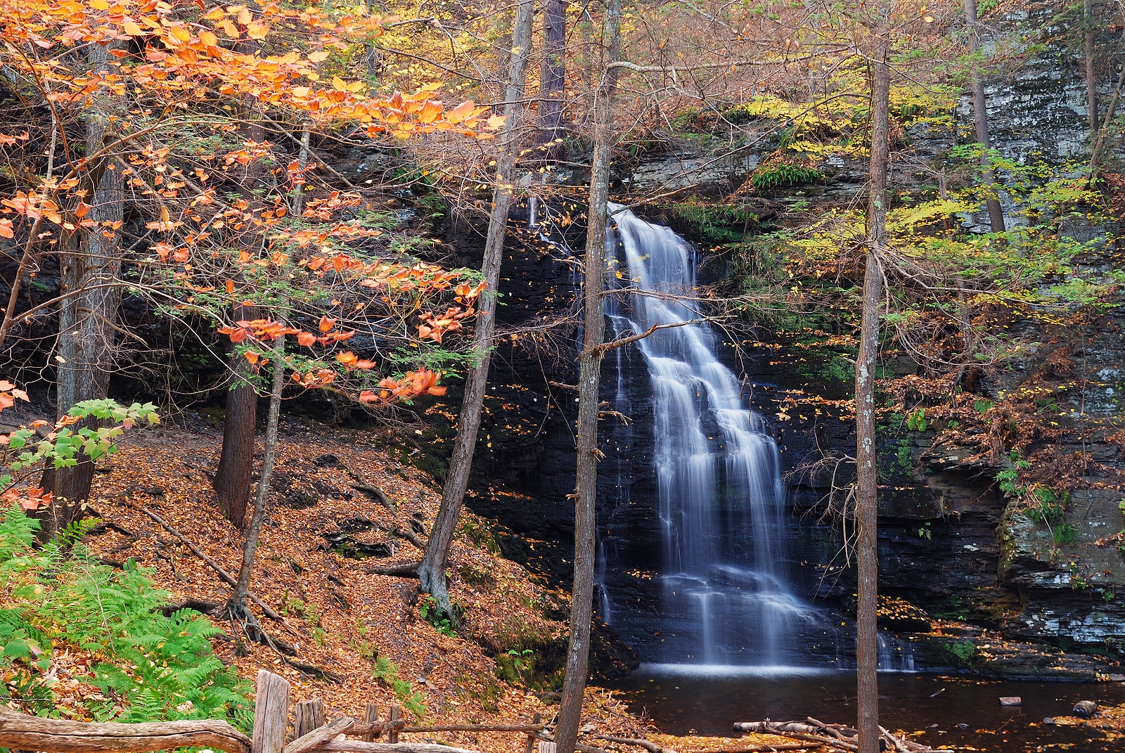 Fungi Woman Pocono Waterfall Pennsylvania