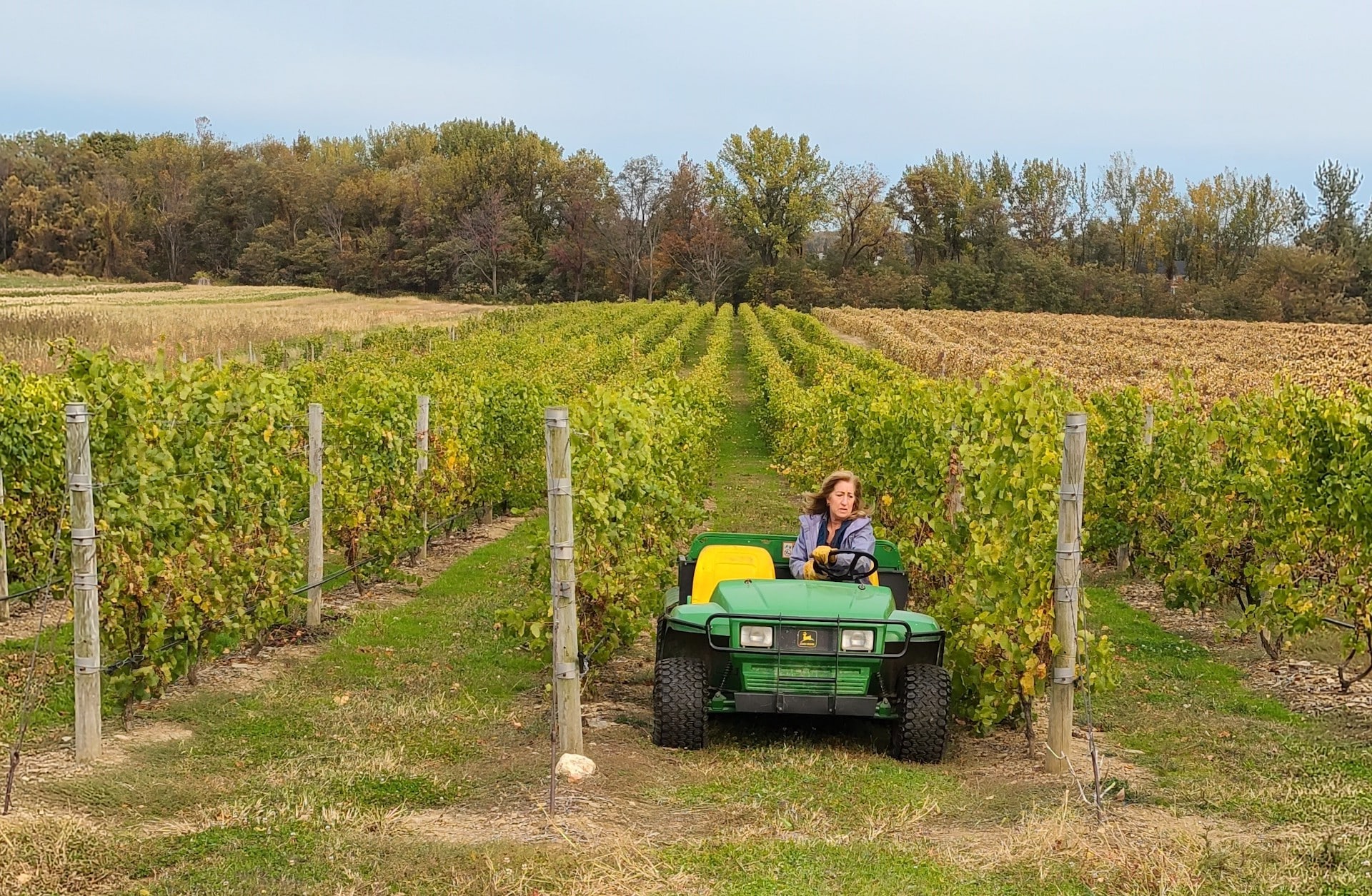 Courtyard Winery