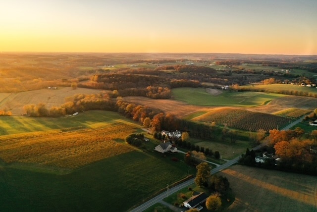 Wayvine Vineyard Farming