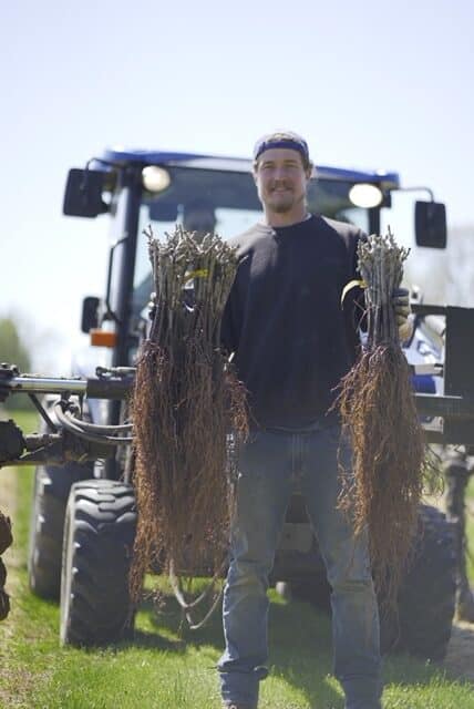 Wayvine Vineyard Farming