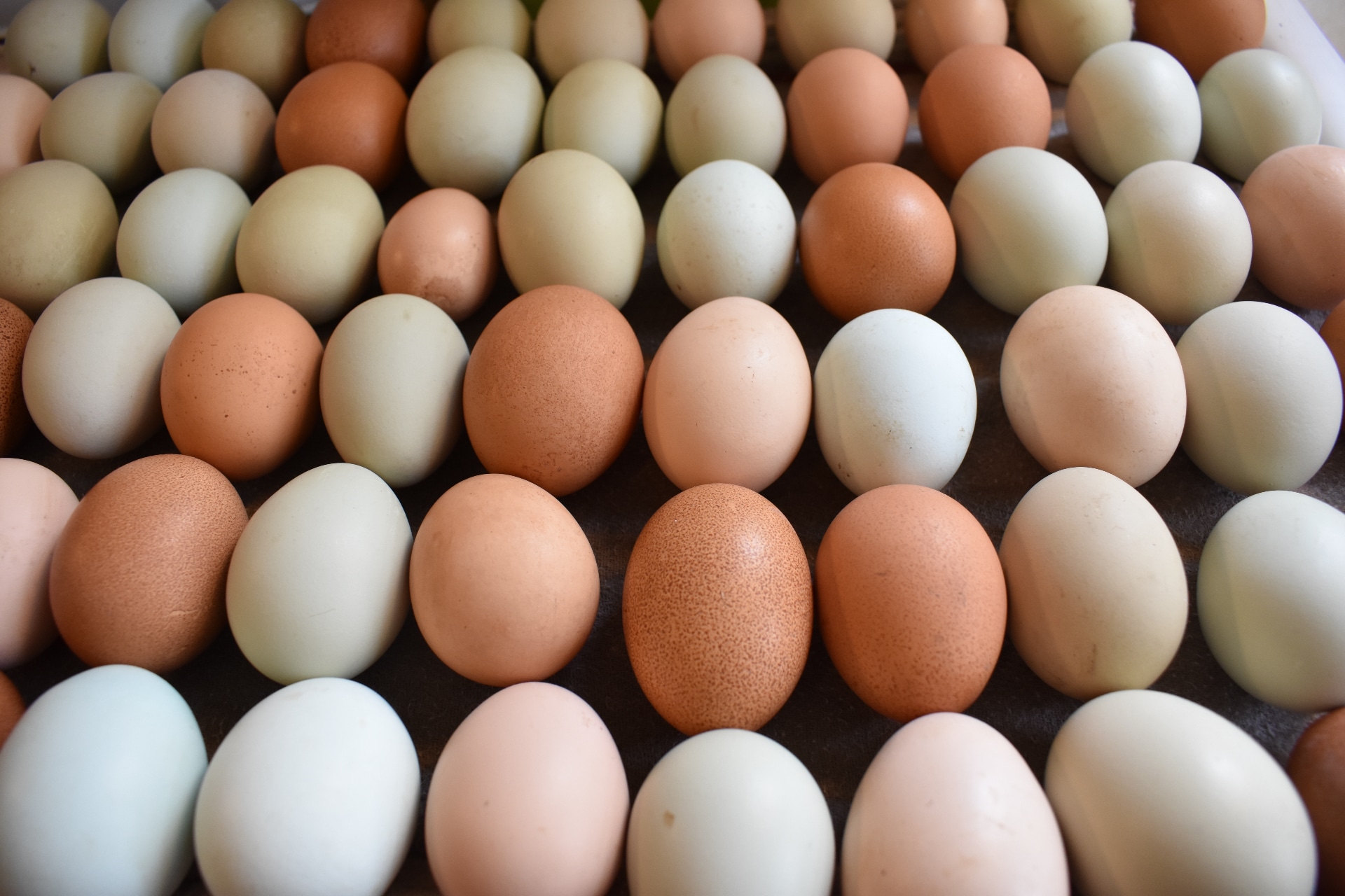 Weatherbury Farm Eggs