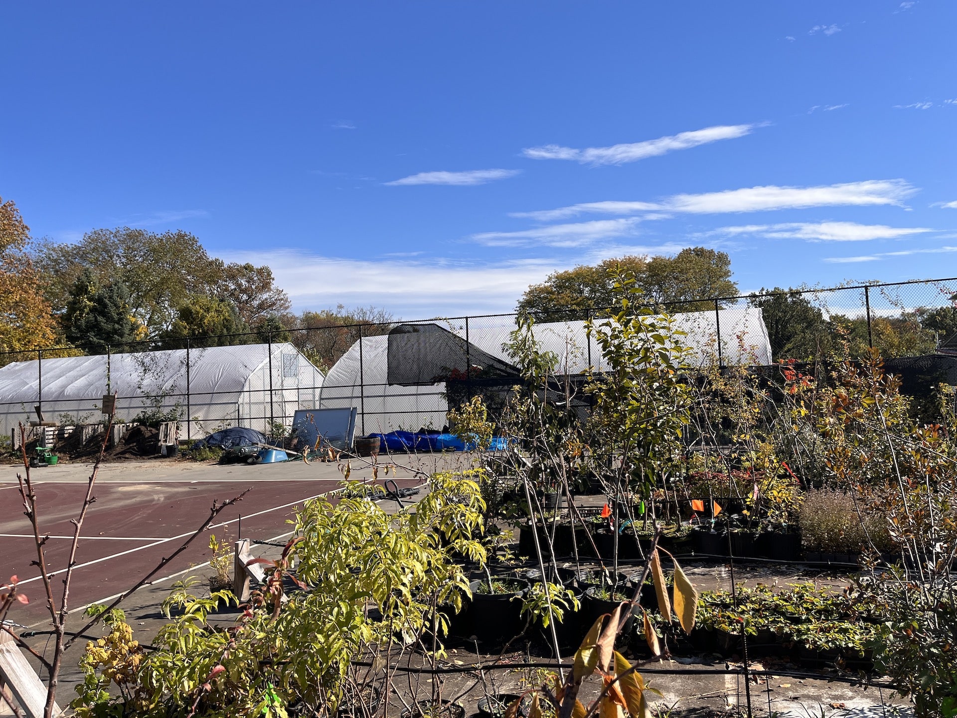 Philadelphia Learning Orchard