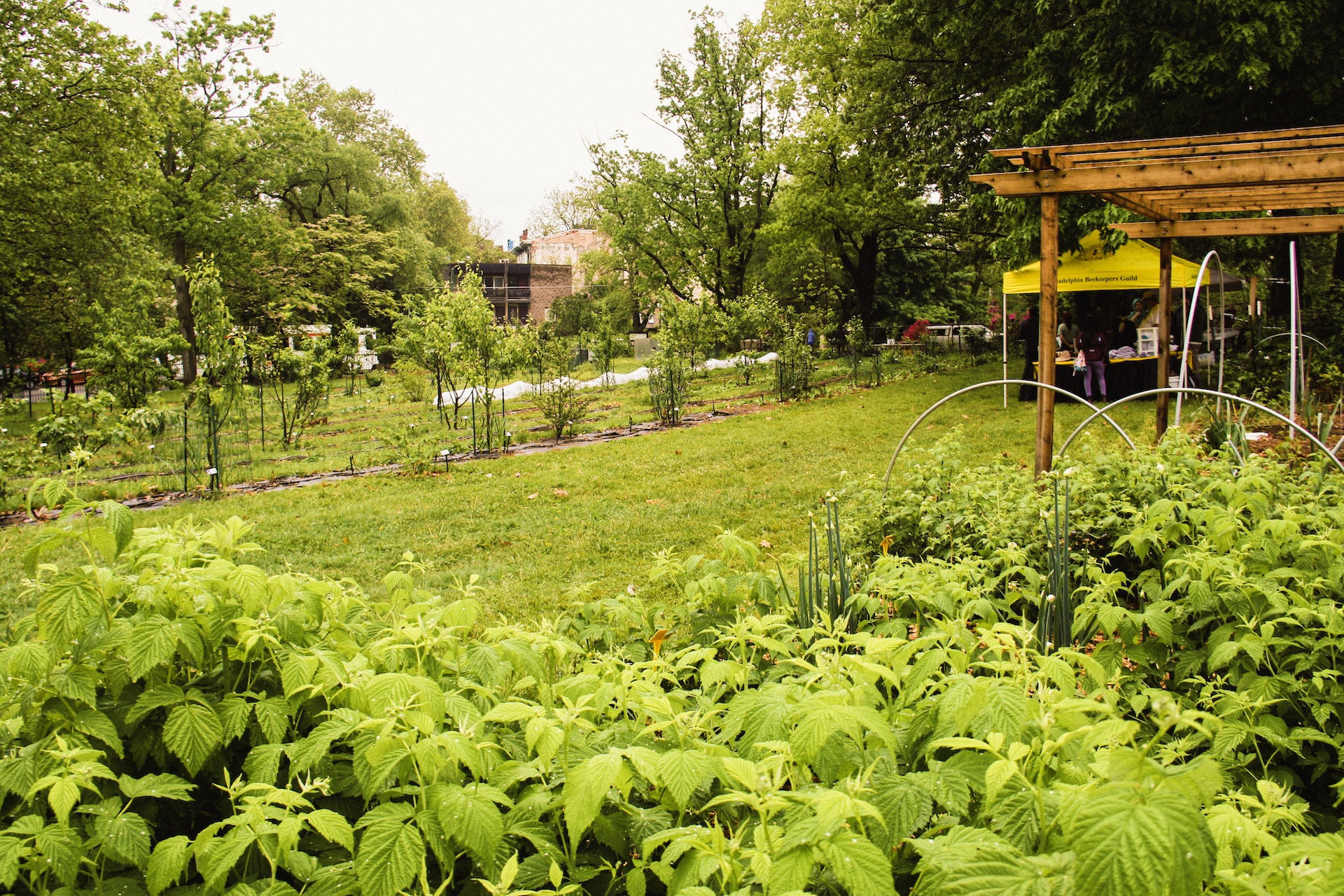 Philadelphia Learning Orchard
