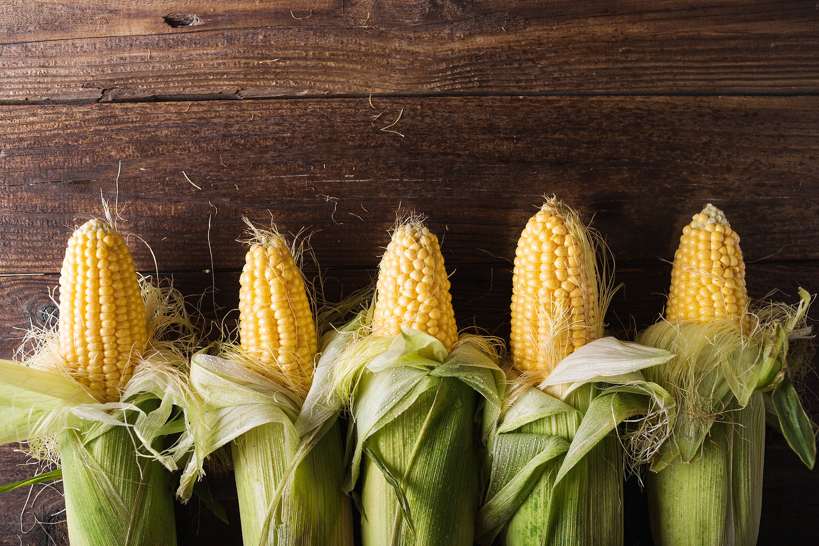 yellow sweet corn