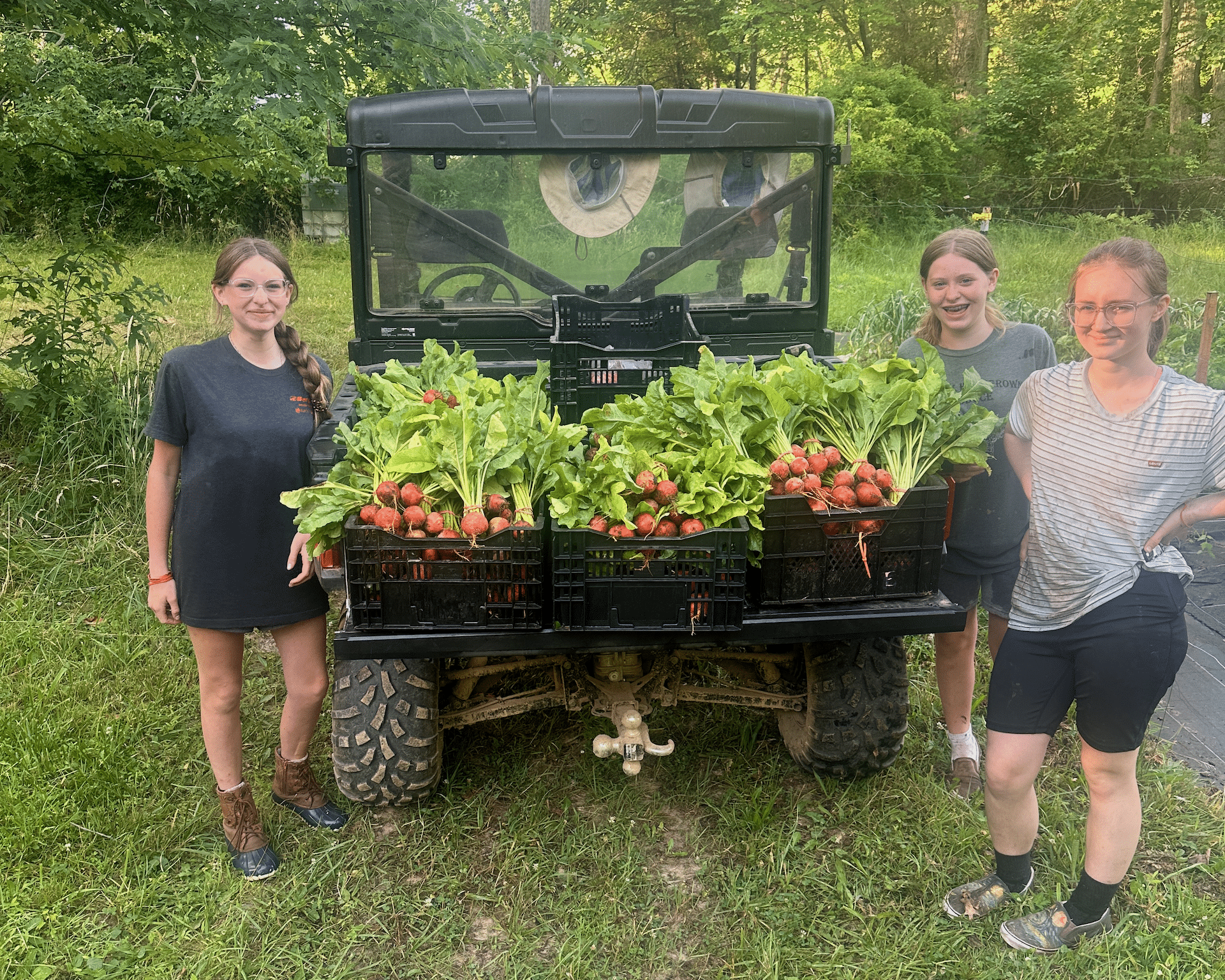 Fresh produce from Limerick Homegrown Produce & Trading Post, LLC.