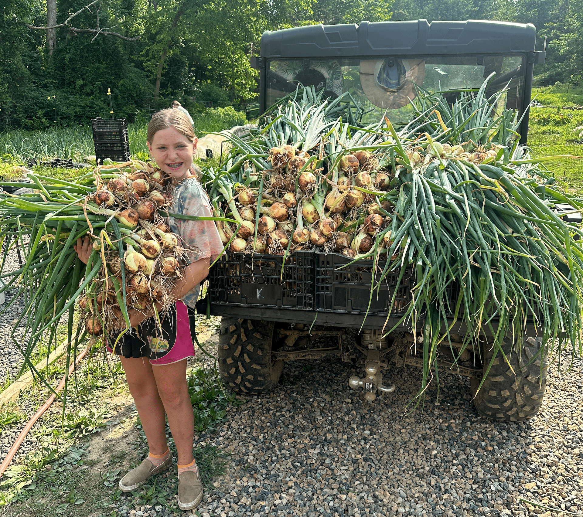 A truckload of produce at Limerick Homegrown Produce & Trading Post, LLC.
