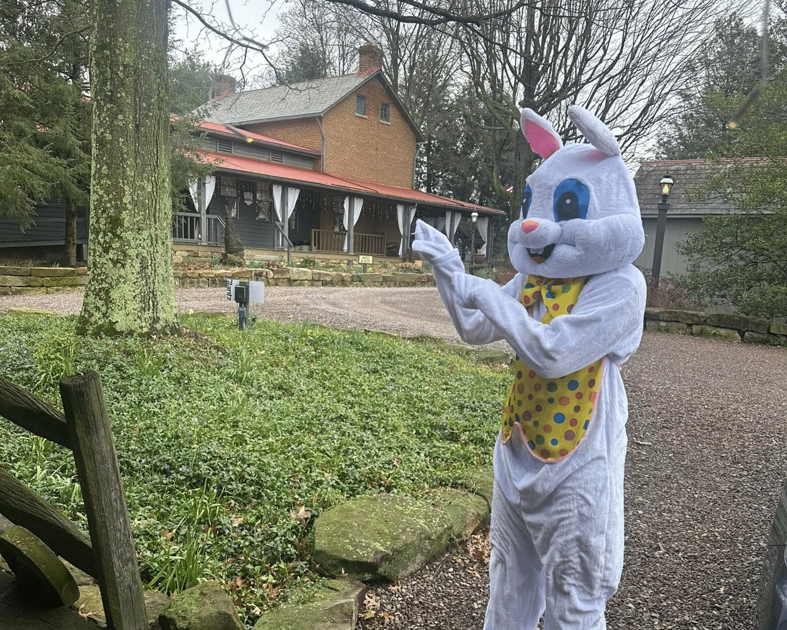 The Easter Bunny at Watson Estate BnB & Deer Creek Winery.