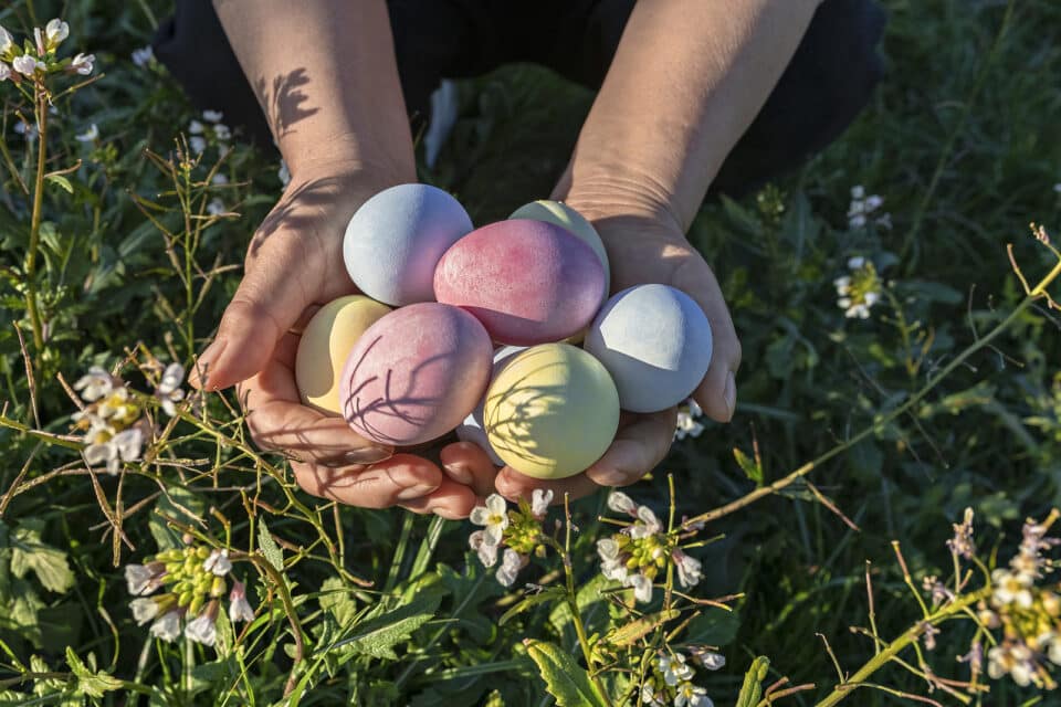 Assorted easter eggs being held over grass outdoors.