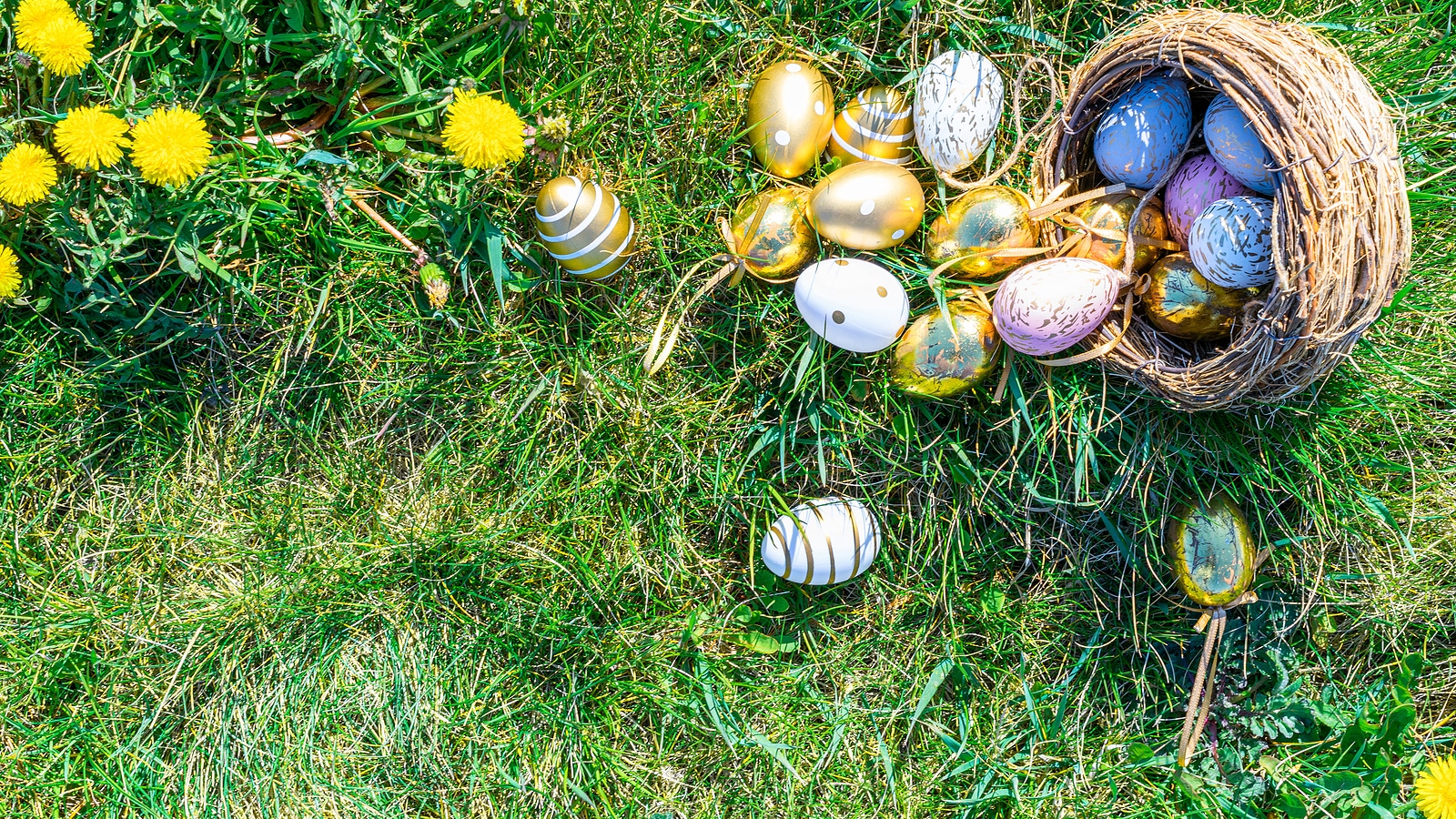 Eggs spilling from a nest.