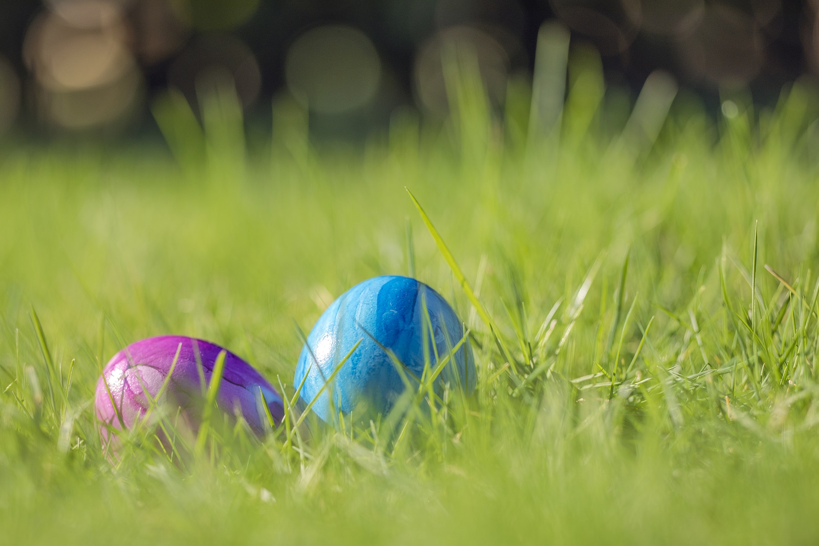 Easter eggs in the grass.