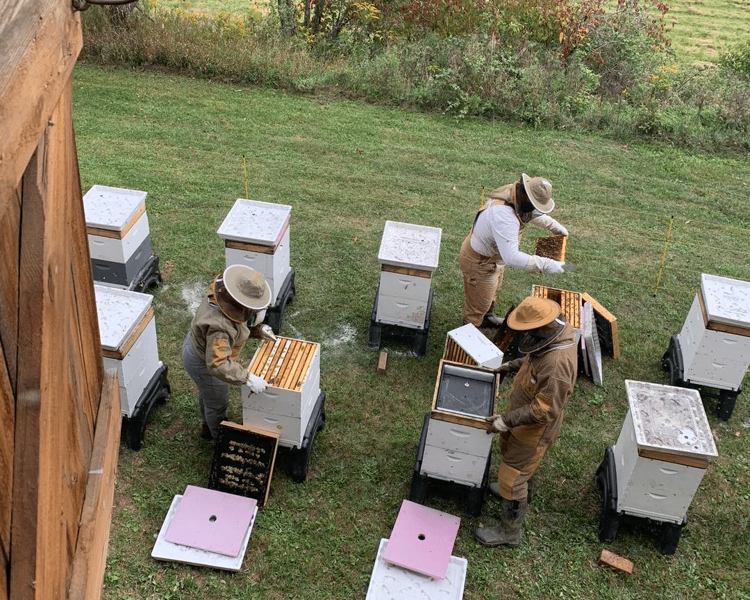 4 Brothers Honey hives.
