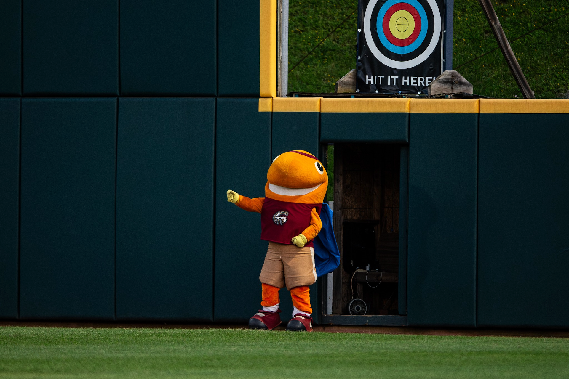 Al Tuna, the mascot of the Altoona Curve baseball team.