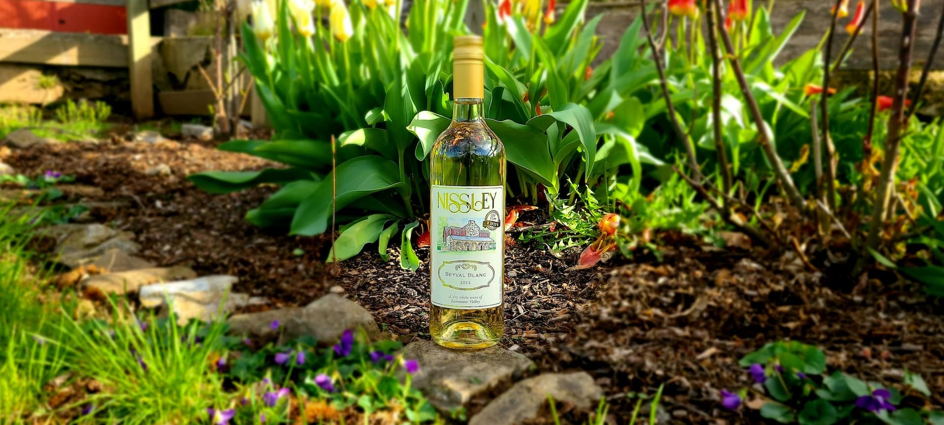 Seyval Blanc by Nissley Vineyards in the Lancaster Valley AVA.