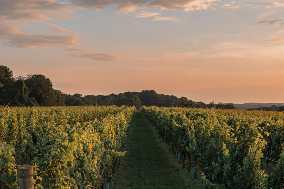 Sunset at Penns Woods Winery.