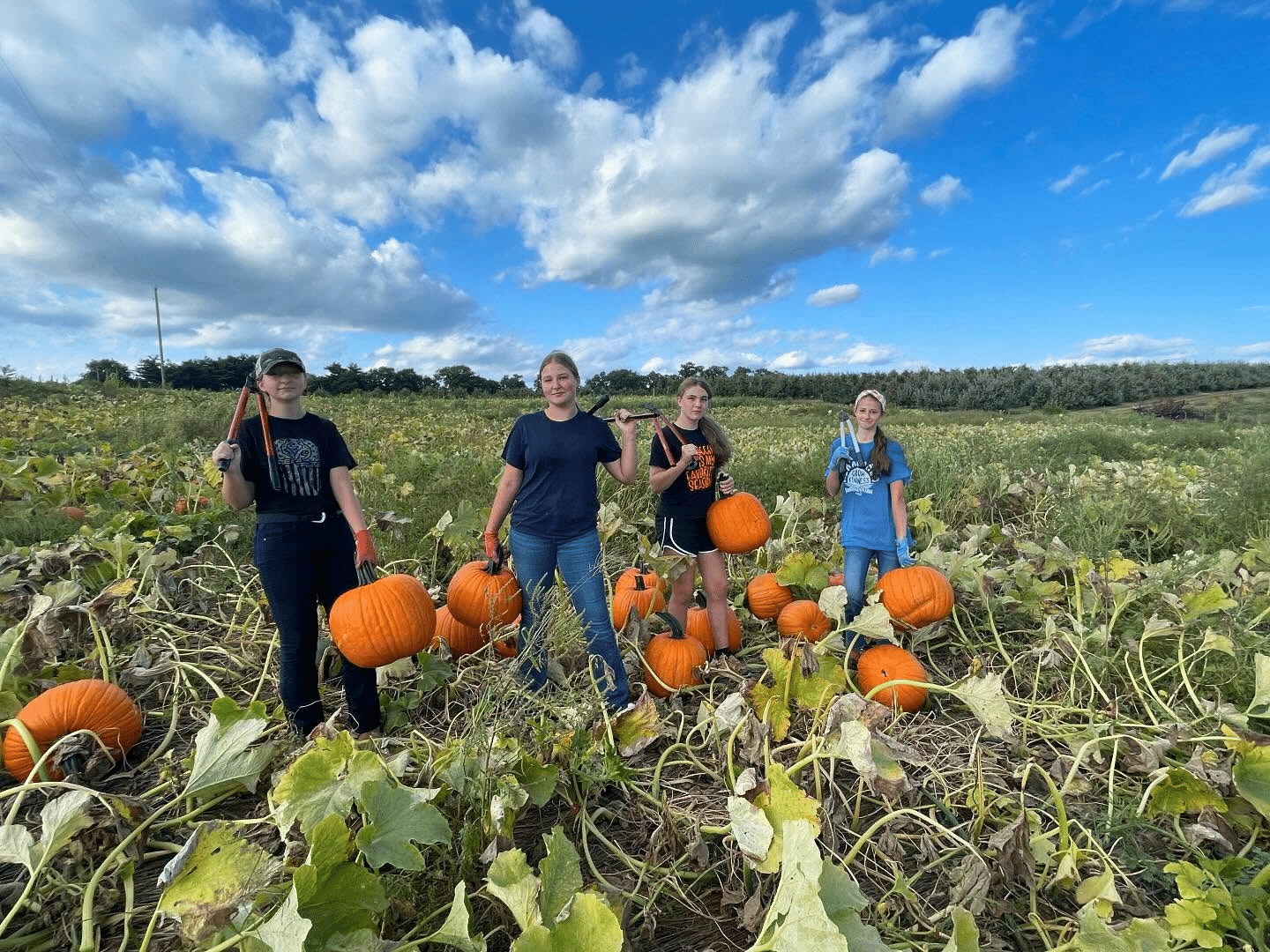 Pumpkin pickers at Rohrbach's Farm.