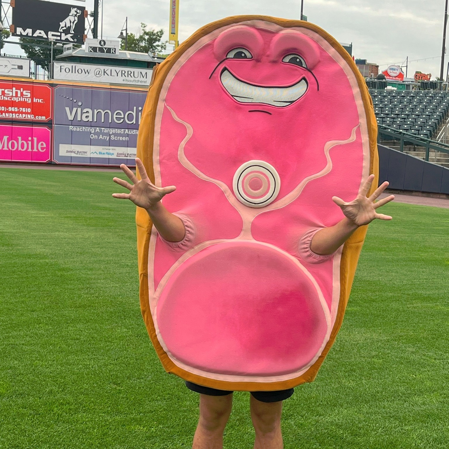 Hambone, one of the Lehigh Valley IronPigs mascots.