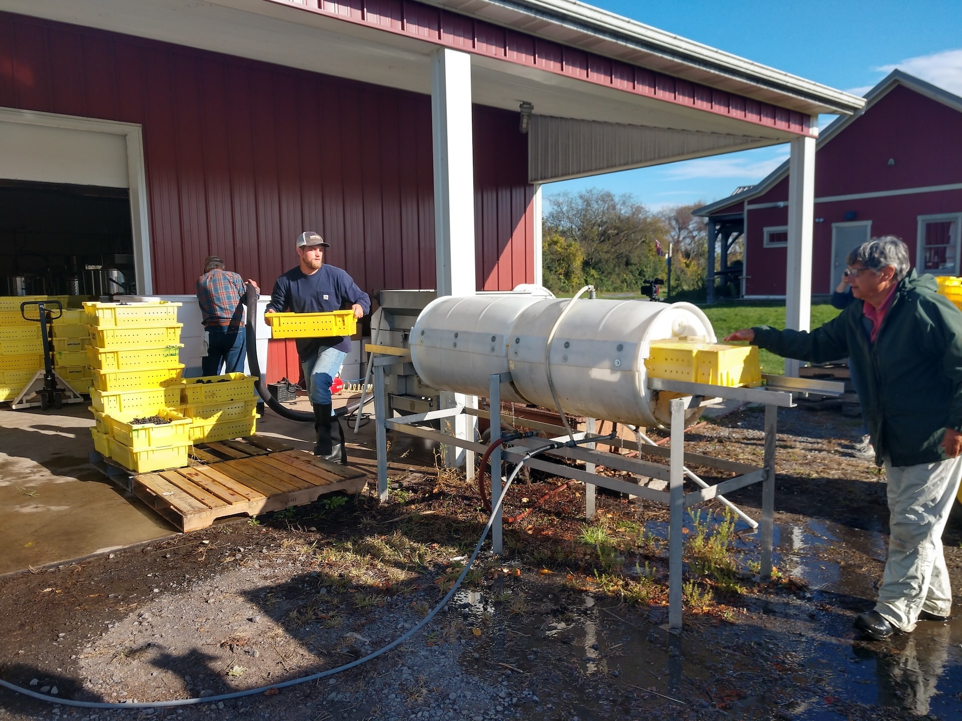 Kelly's device for reducing water waste while cleaning lugs at Happy Valley Vineyards.