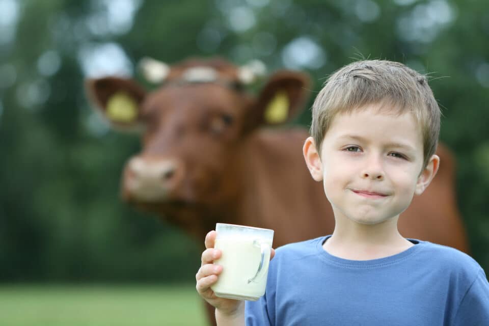 Boy drinking milk on a farm.
