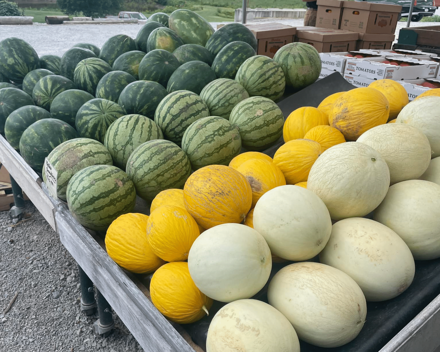 A variety of PA-grown melons at JP's Farmers Market.