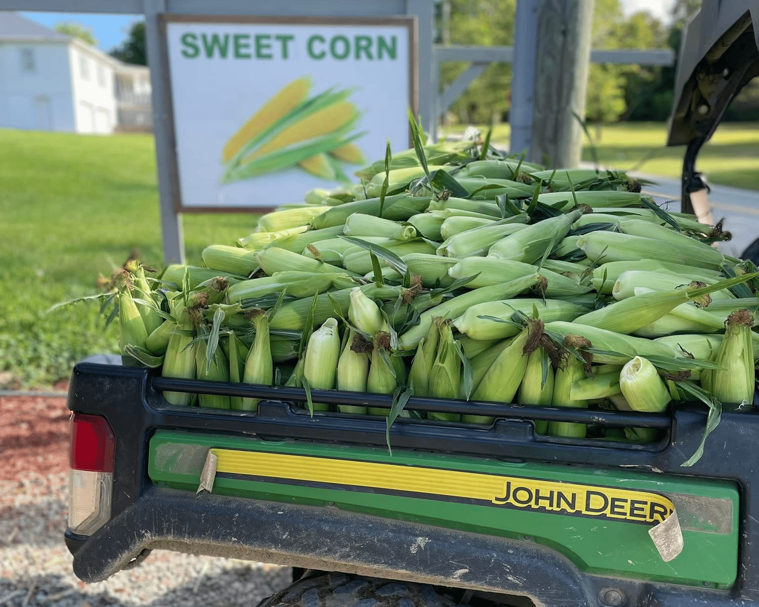 JP's Farmers Market sweet corn.