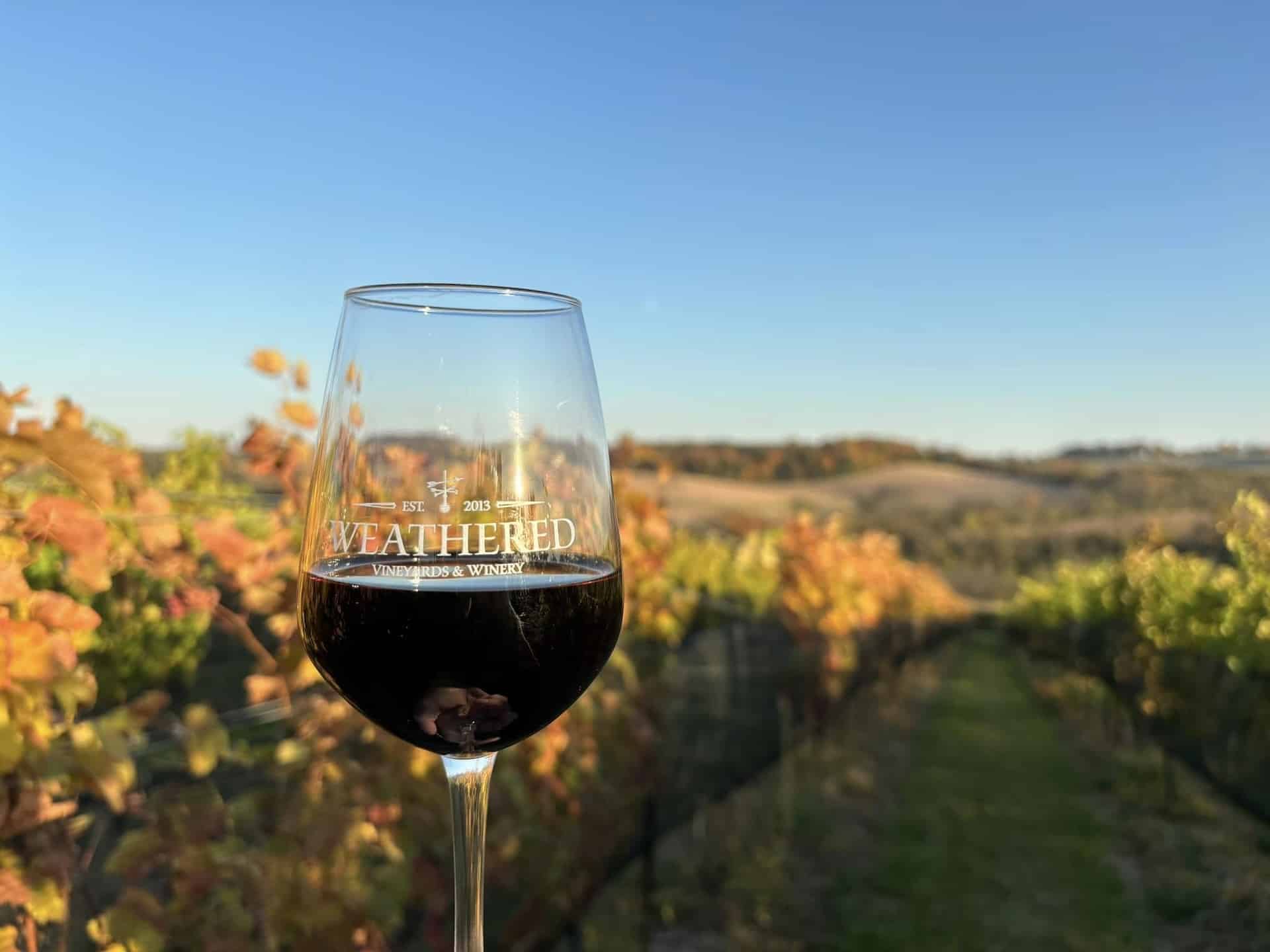 Glass of wine with vineyard view behind it at Vineyards & Winery.