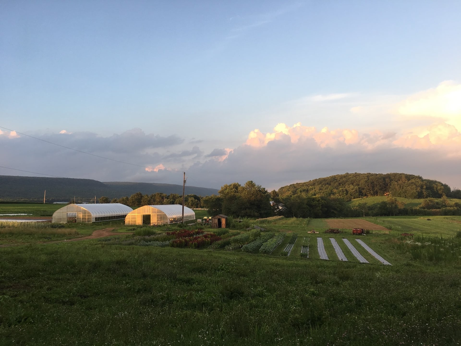 PA Preferred Oak Nut Farm in Berks County.