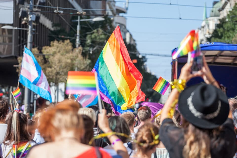 Crowd raising and holding rainbow gay flags during a Gay Pride. Trans flags can be seen as well in the background. The rainbow flag is one of the symbols of the LGBTQ community.
