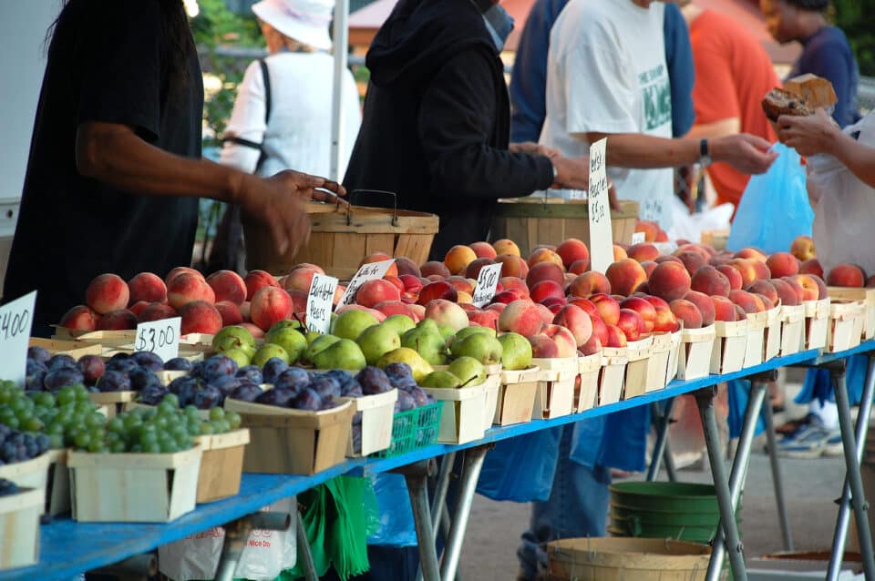 Variety of fruits sold at the Farmers Market.