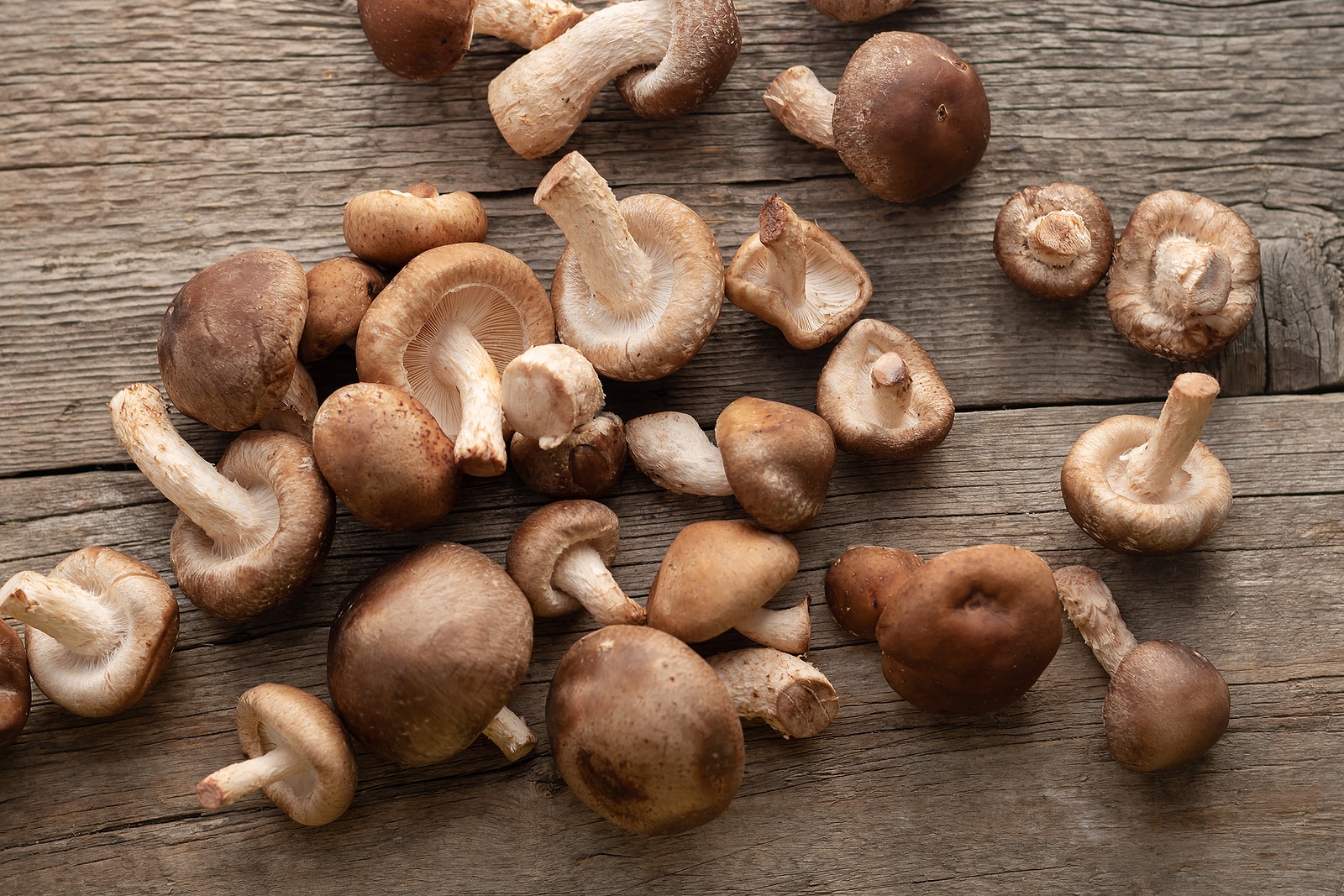 Shiitake mushroom on wooden table, close up.