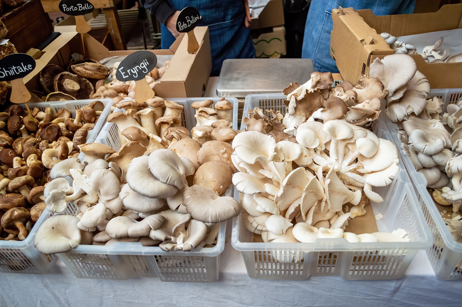 Variety of mushrooms at a market.
