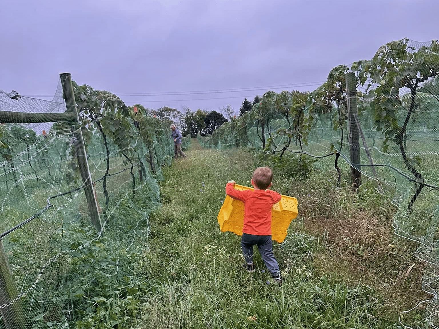 The Winery at the Long Shot Farm in the Cumberland Valley AVA.