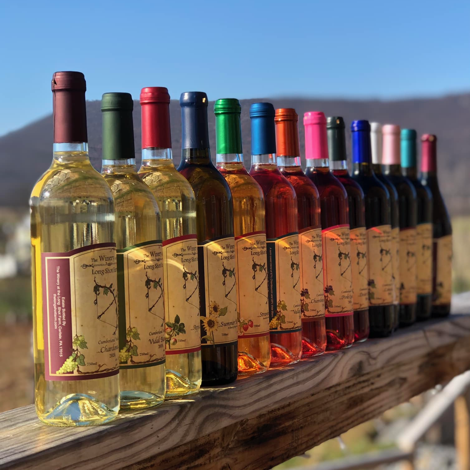 Colorful wine bottles in a row at The Winery at the Long Shot Farm.