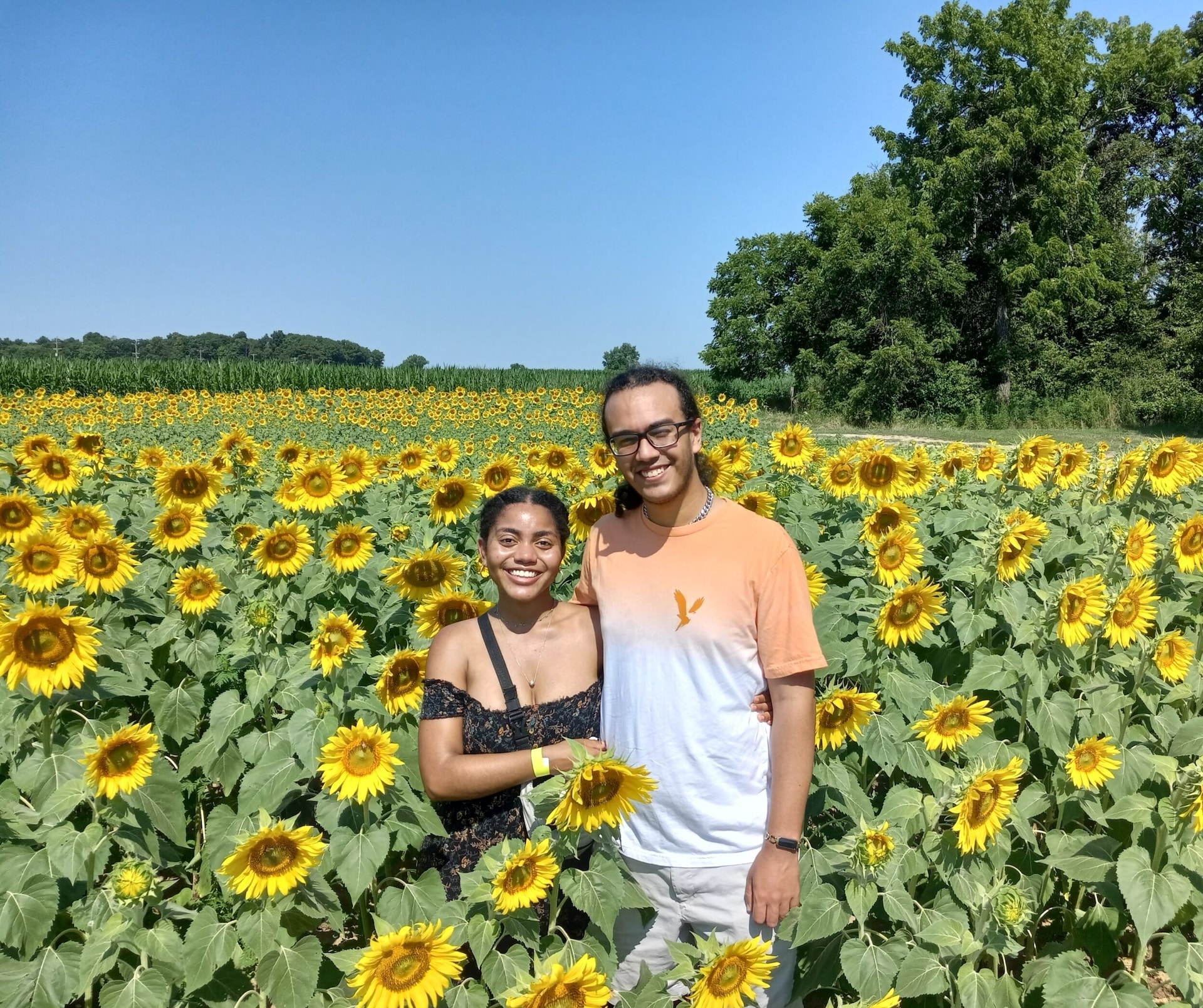 Guests in the sunflower fields at Hellerick's Adventure Farm.