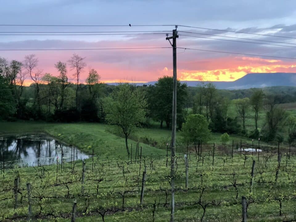 Sunset views at The Winery at the Long Shot Farm.