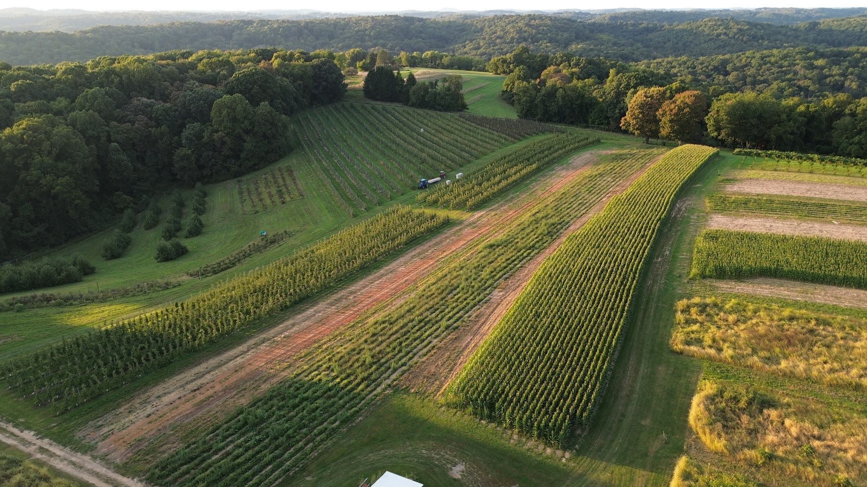 Soergel Orchards fields.