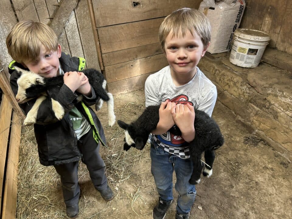 Young boys holding lambs at 5 Gallon Dog Ranch, a PA Preferred® farm in Corry.