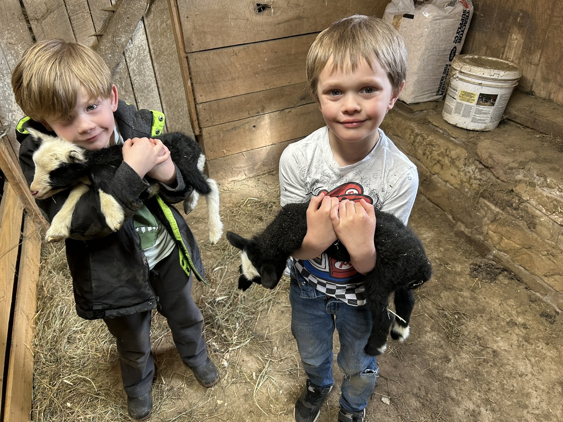 Young boys holding lambs at 5 Gallon Dog Ranch, a PA Preferred® farm in Corry.