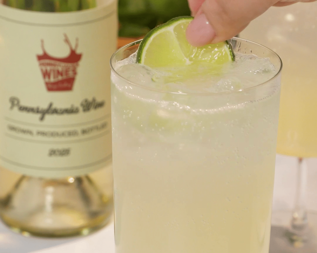 PA Vines & Wines Recipes helps you create a refreshing Vidal Blanc Mojito Punch.