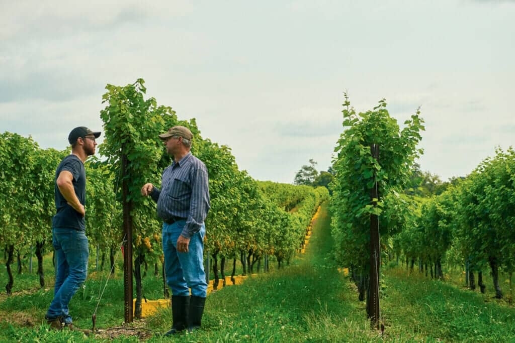 The Waltzes in their vineyard.