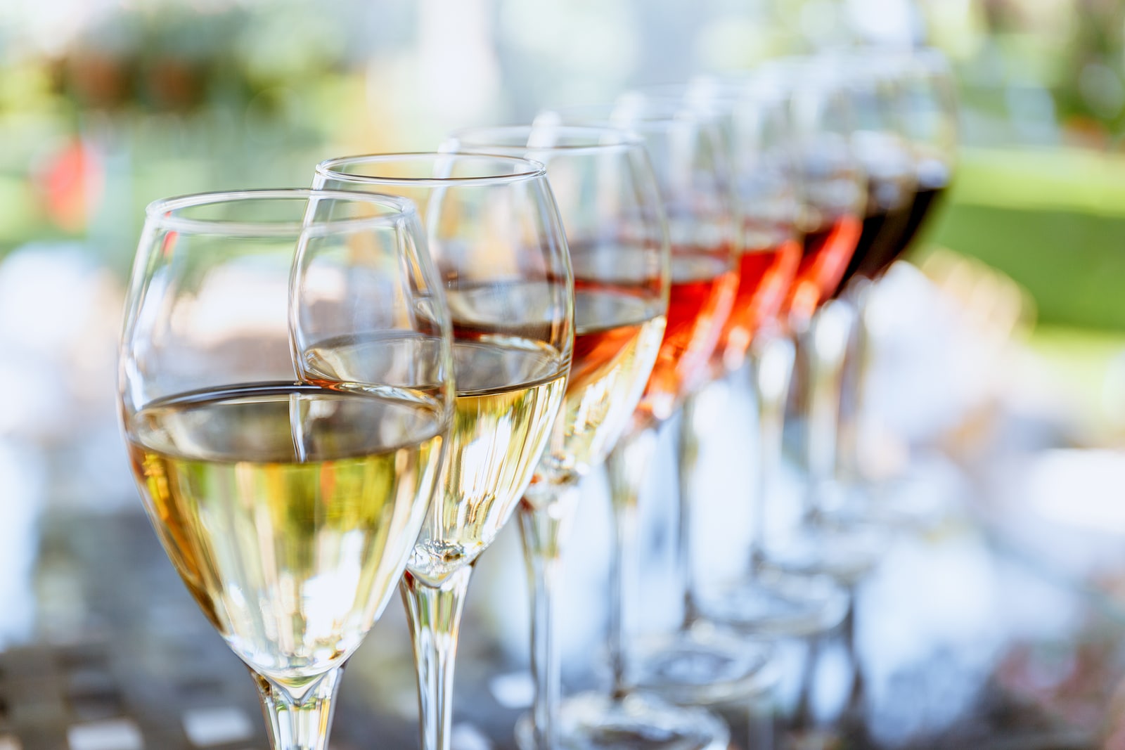 Wine tasting set in the light summer environment. Custom wine tasting concept. 