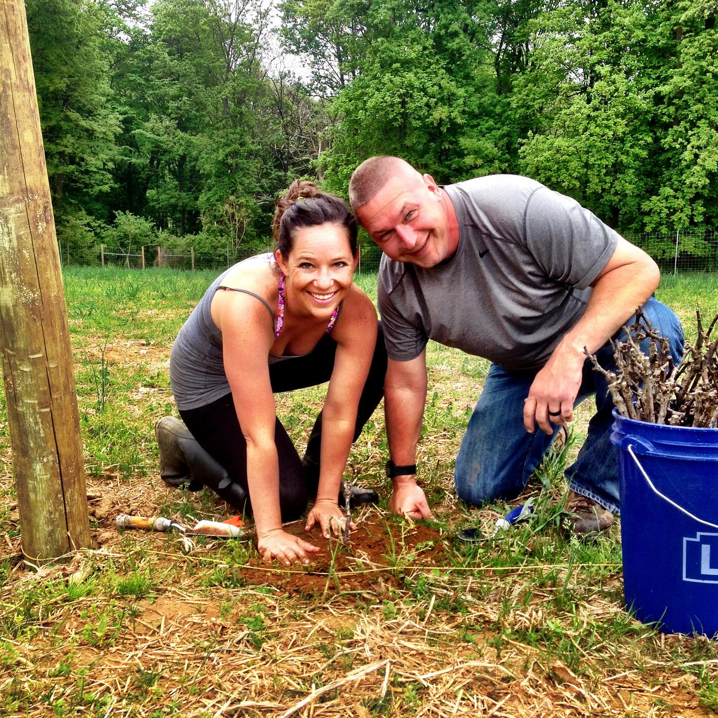 The Codys planting Chambourcin.