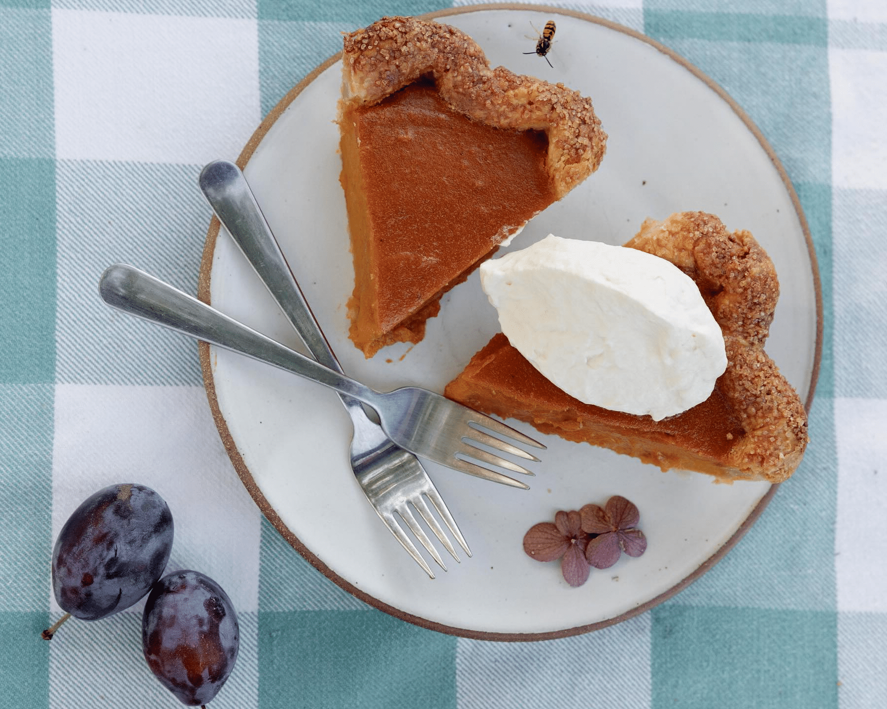 Pennsylvania pumpkin pie from Pie Bird Farm.