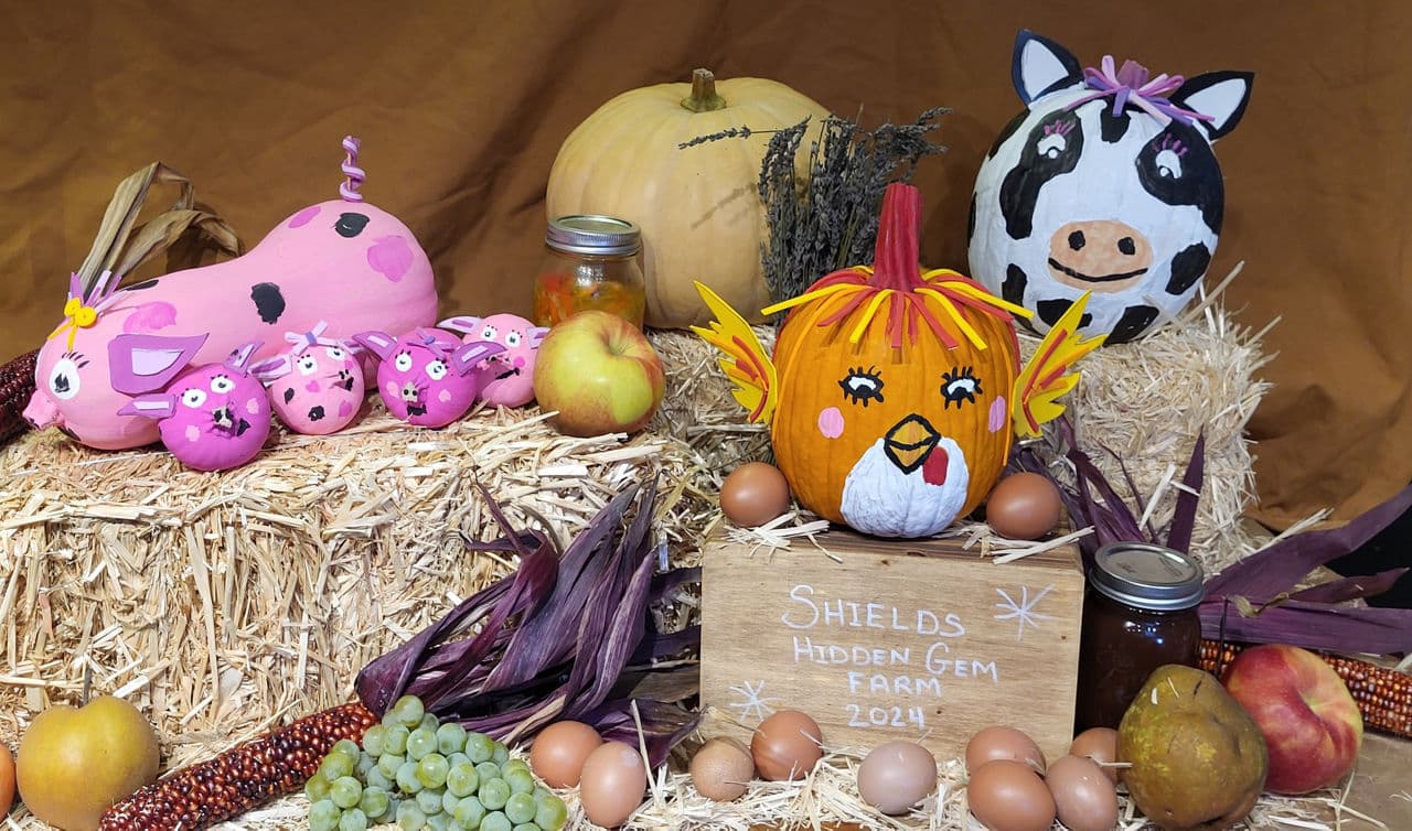 Pumpkin Palooza contest entries for PA Department of Agriculture.