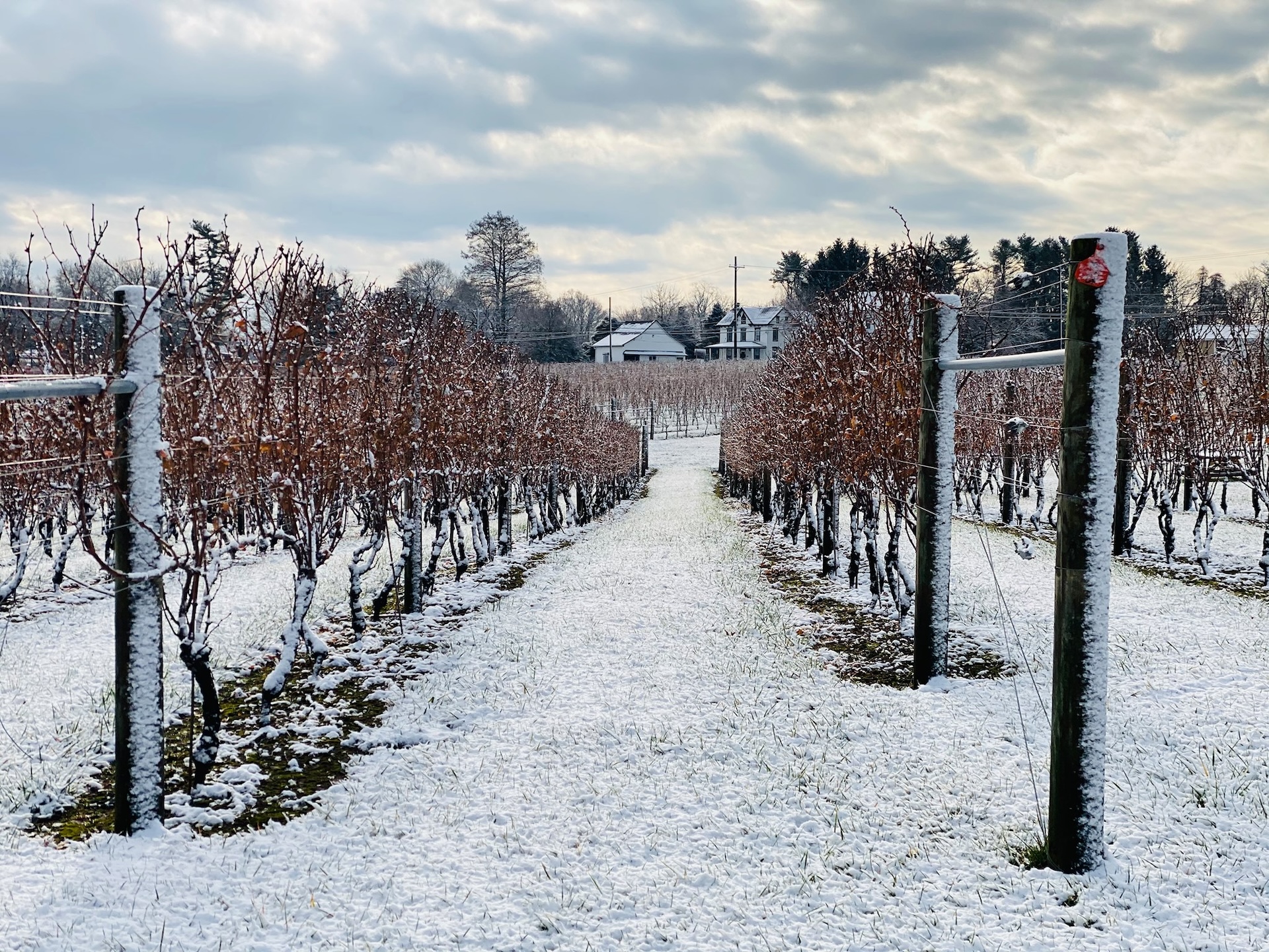 Winter in the Brandywine Valley PVA.