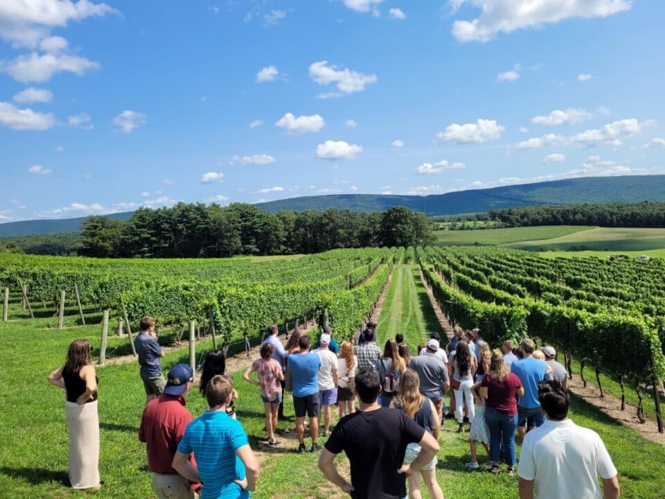 A vineyard tour at Galen Glen.