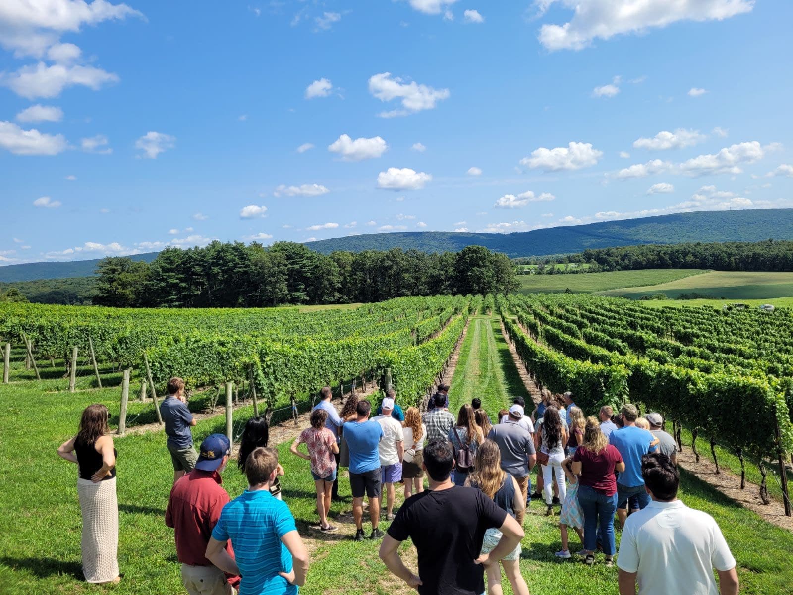 A vineyard tour at Galen Glen.