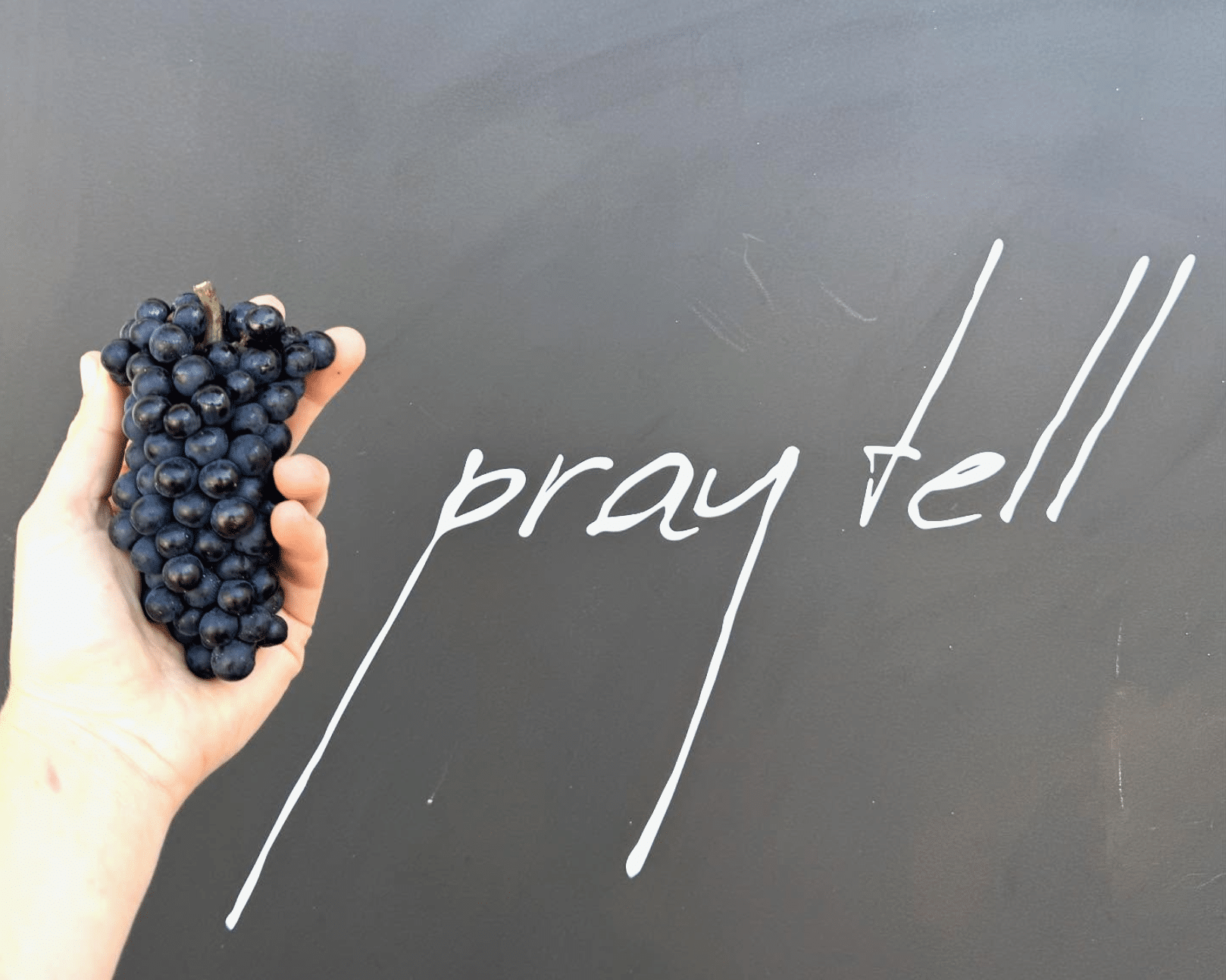 PA-grown Gamay Noir grapes at Pray Tell.