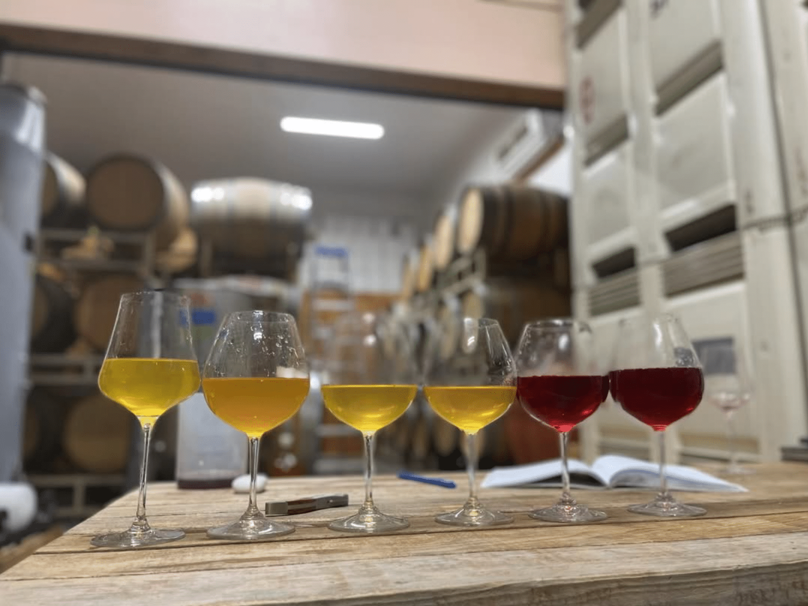Tasting lineup at Pray Tell Wines.