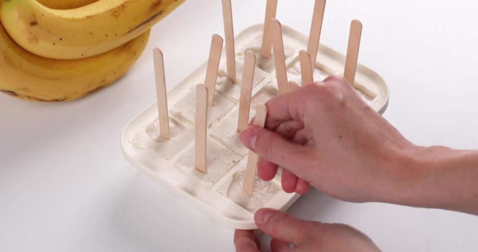 Nourish PA for Kids smoothie freezer pops.