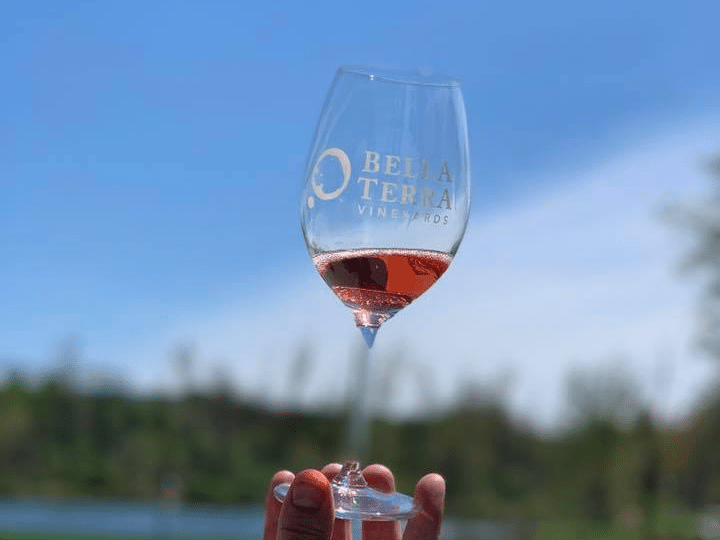 Sweet sparkling Summer Sangria at Bella Terra Vineyards.